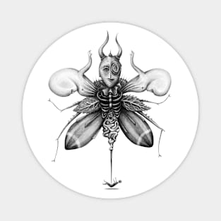 Angel of Death Beetle Magnet